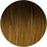 #Ginger Snap Ombre Superior Butterfly Weft™ Extensions