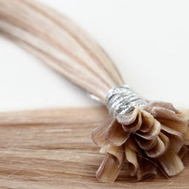 colour: #18/60 Pearl Ash Blonde Highlights