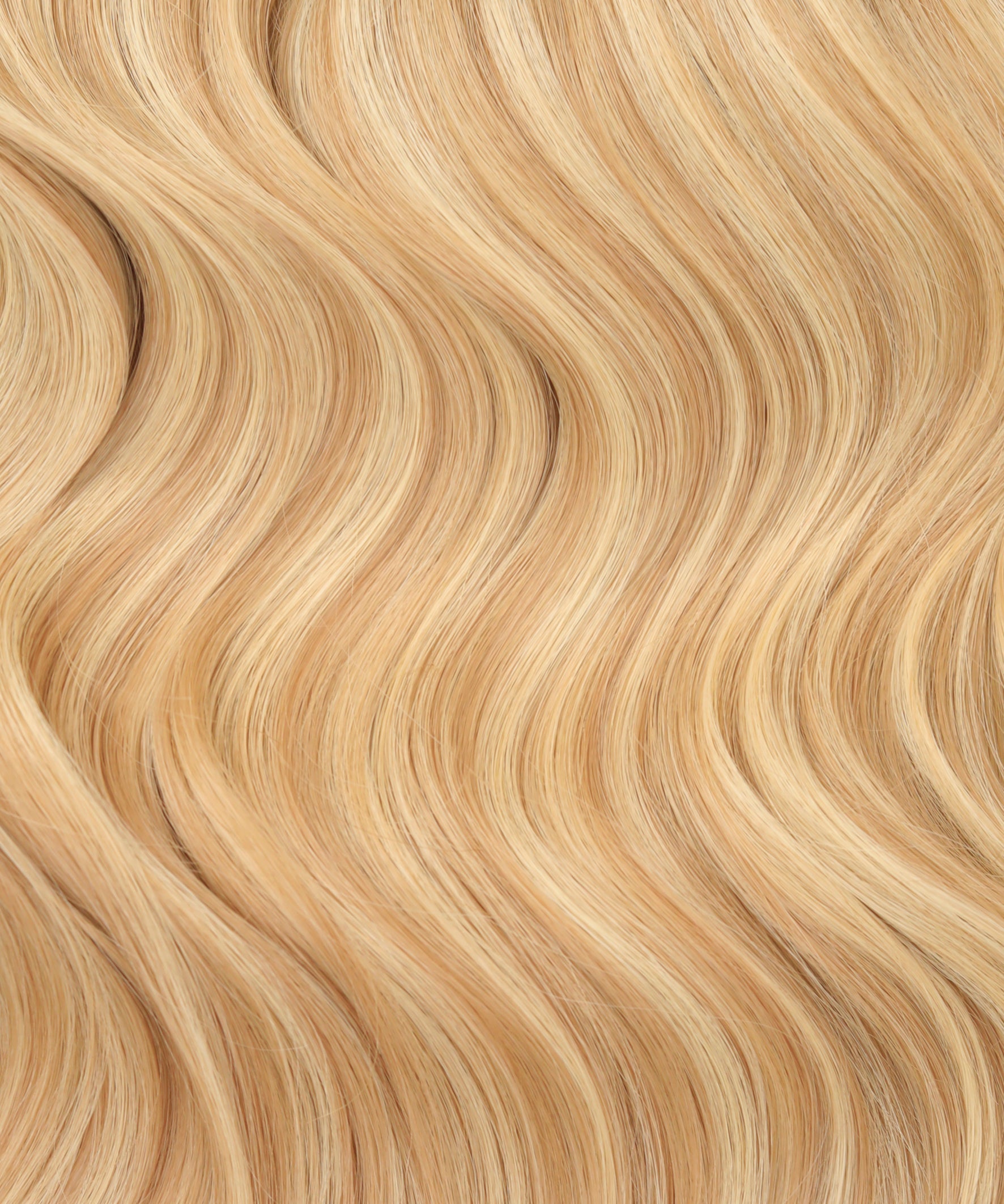 #16/22 Caramel Blonde HL Topper With Invisible Wire (65g)