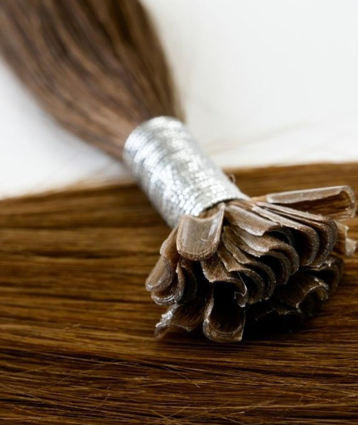 #6 Chestnut Brown Pre Bonded U Tip Extensions — Value Grade