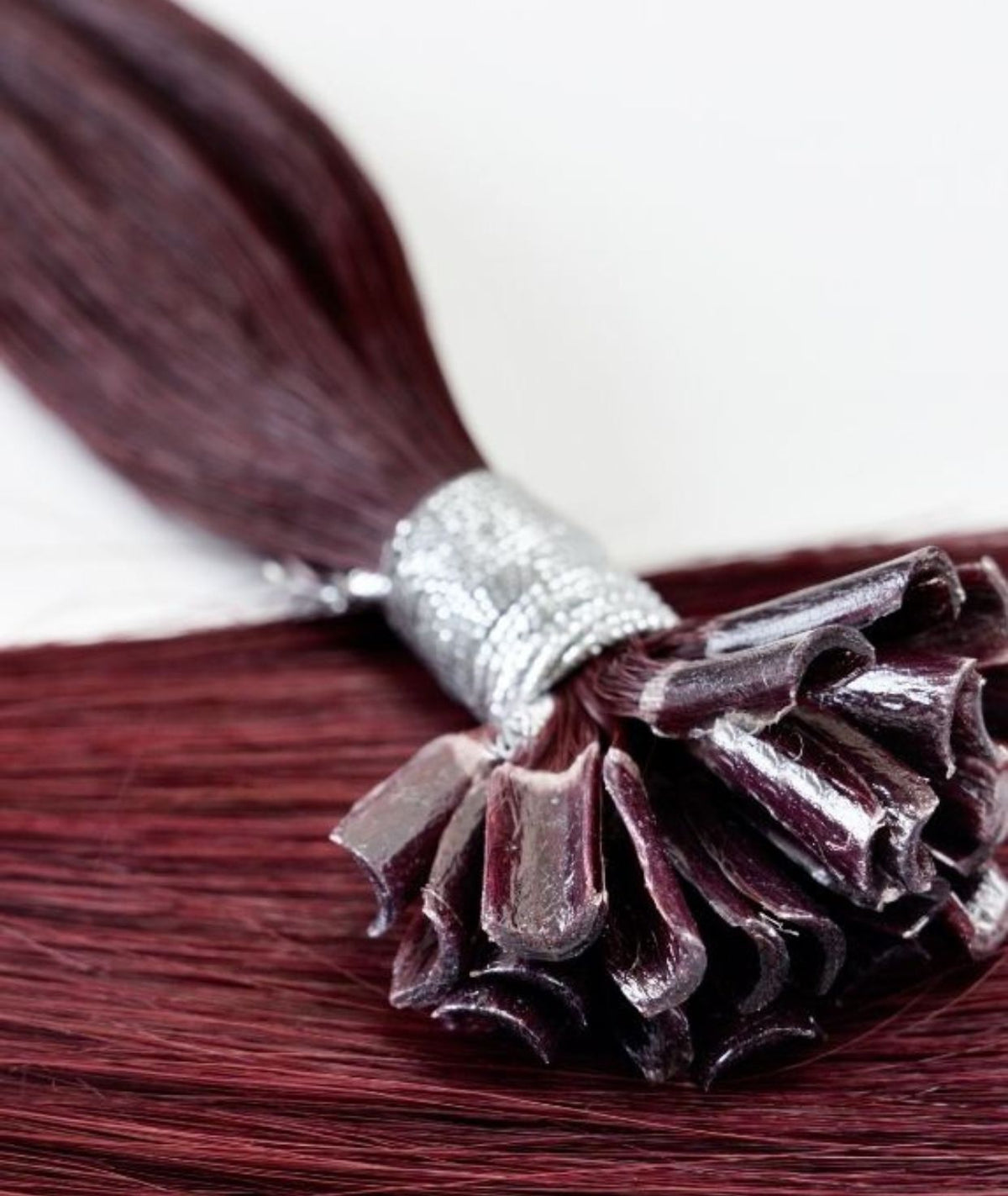 #Burgundy Pre Bonded U Tip Hair Extensions — Value Grade
