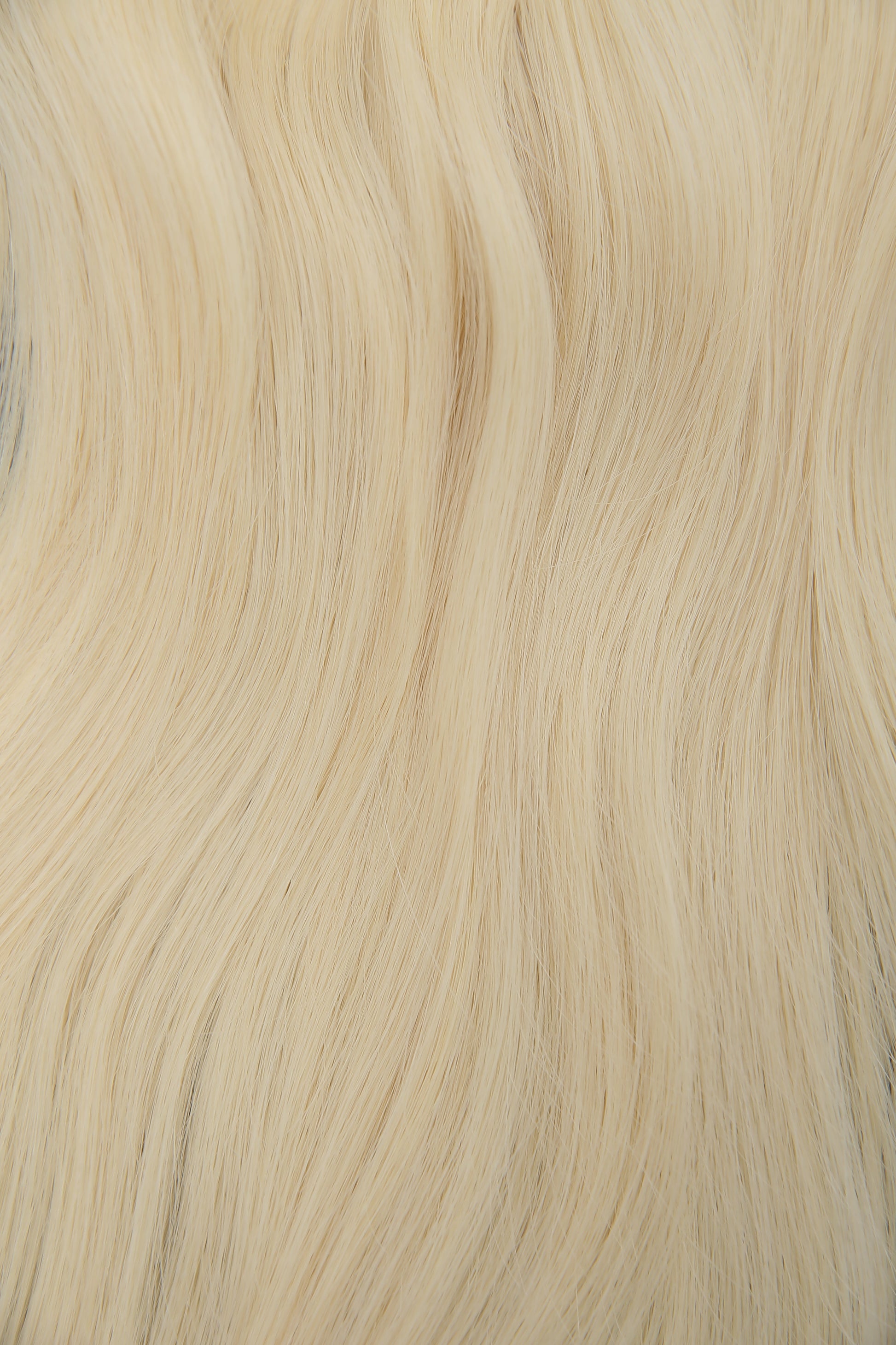Platinum Blonde Thumbnail