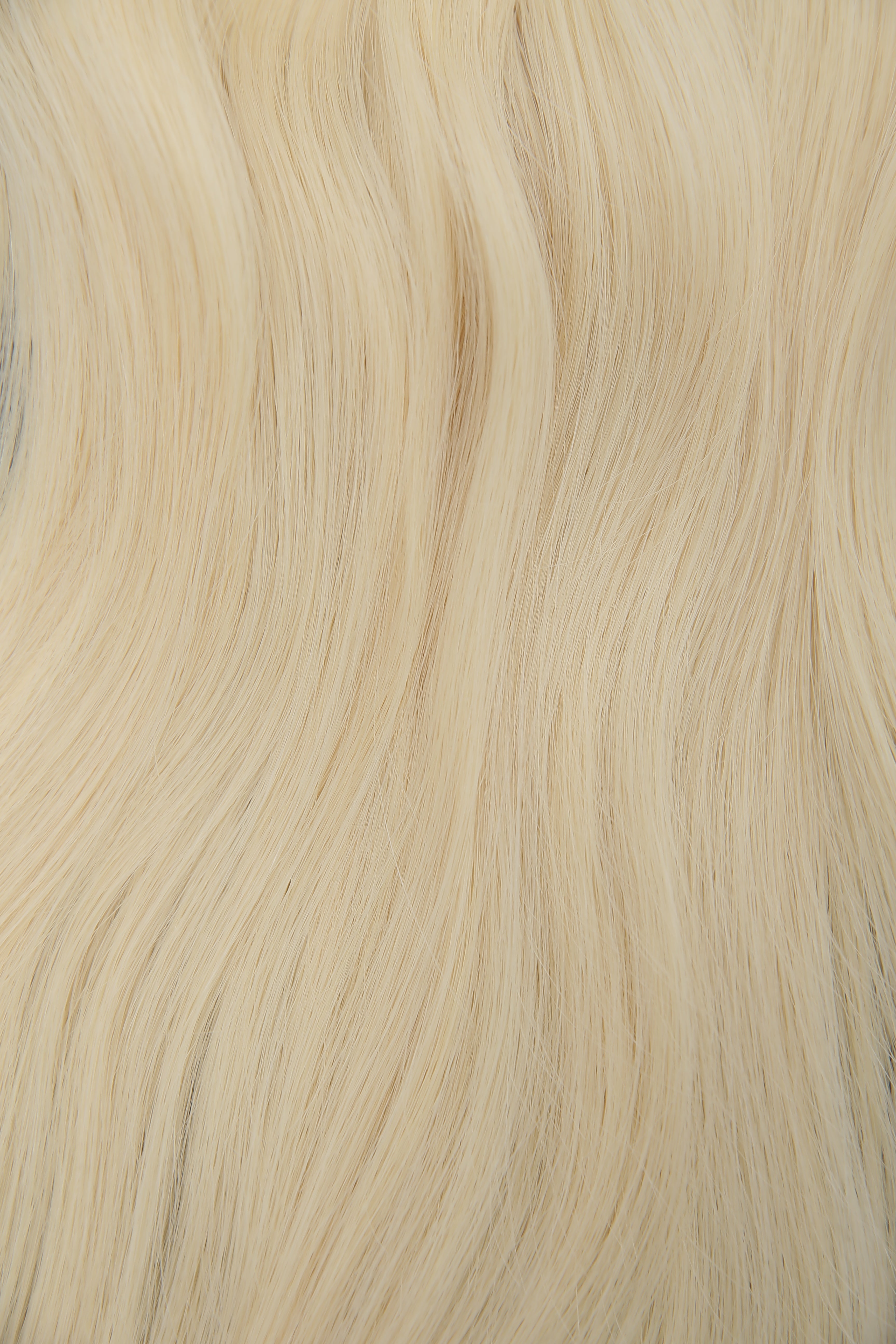 Platinum Blonde Thumbnail
